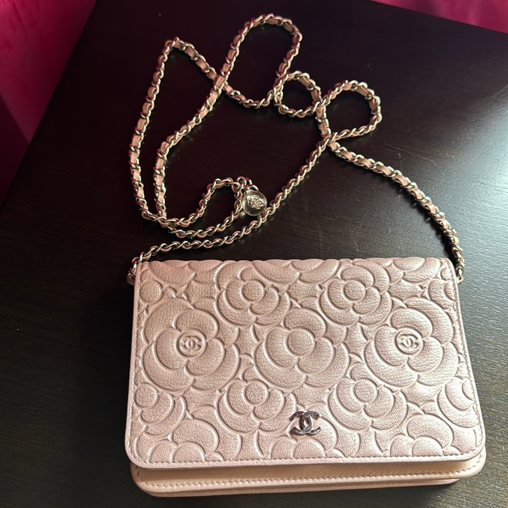 Camilla Wallet on a chain bag